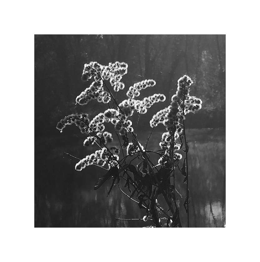 Trauerfeier Abschiedslied