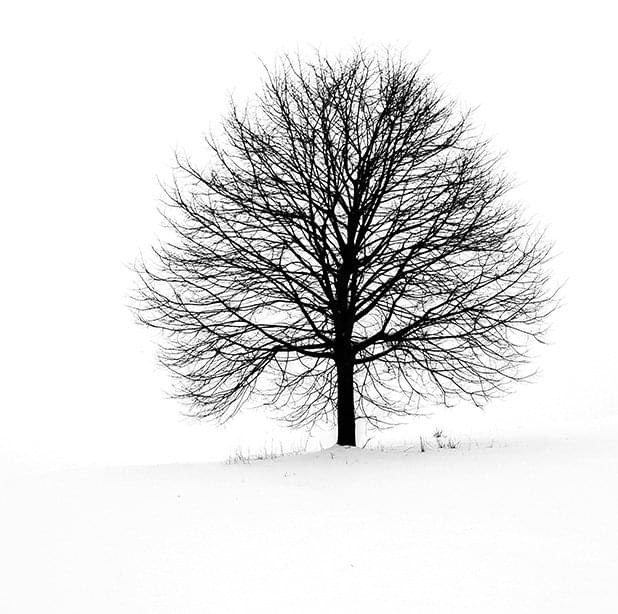 Trauerfeier Beerdigung